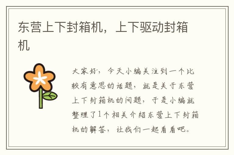 东营上下封箱机，上下驱动封箱机