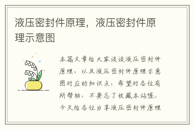 液压密封件原理,液压密封件原理示意图
