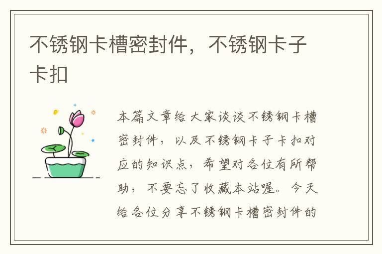 不锈钢卡槽密封件,不锈钢卡子卡扣