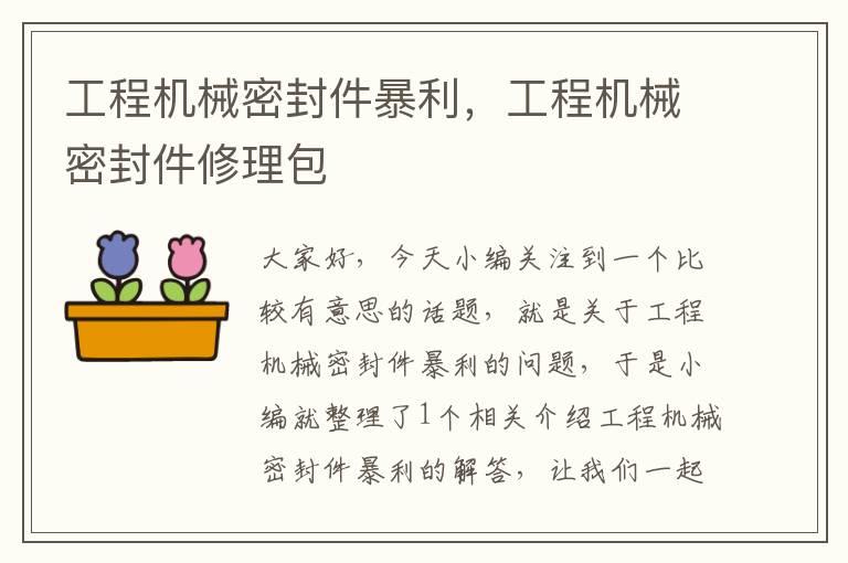 工程机械密封件暴利，工程机械密封件修理包