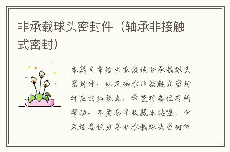 非承载球头密封件(轴承非接触式密封)