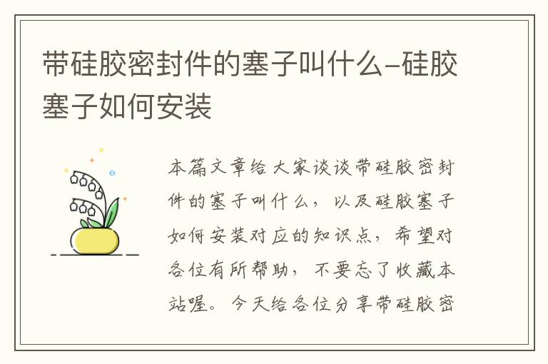 带硅胶密封件的塞子叫什么-硅胶塞子如何安装