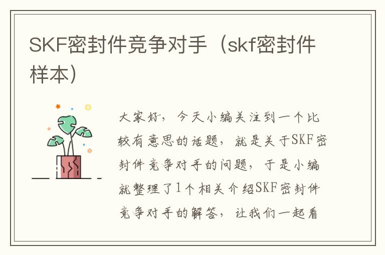SKF密封件竞争对手(skf密封件样本)