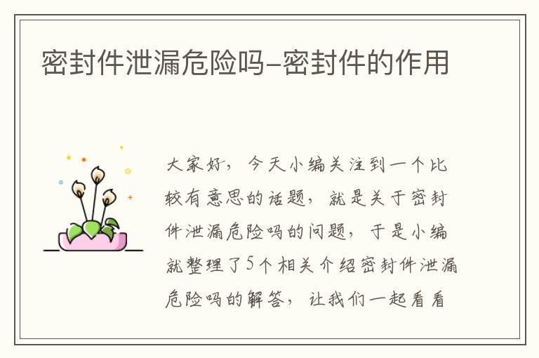 密封件泄漏危险吗-密封件的作用