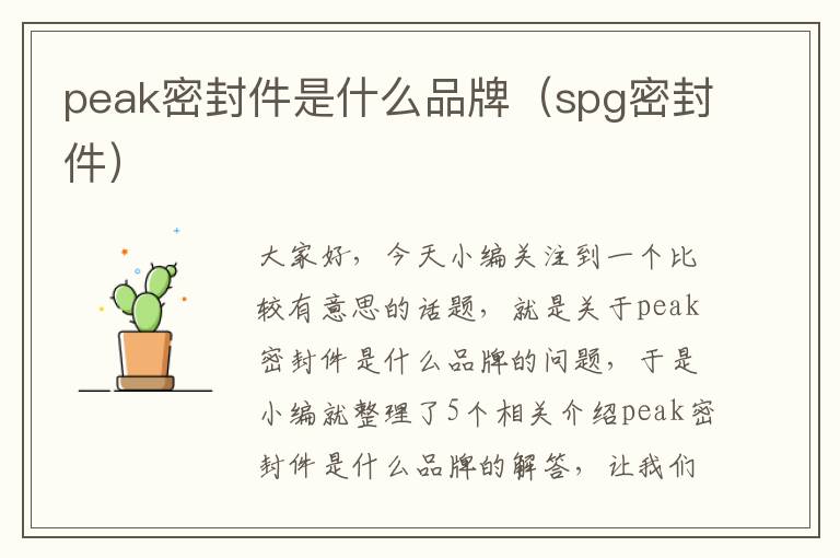 peak密封件是什么品牌（spg密封件）