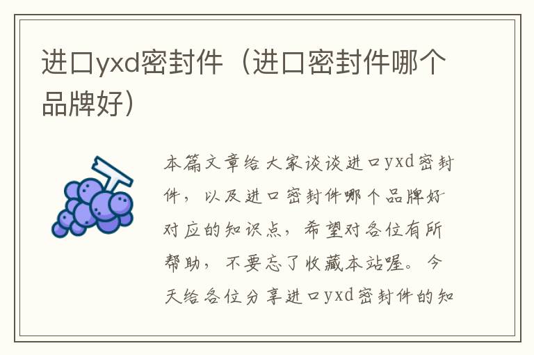 进口yxd密封件(进口密封件哪个品牌好)