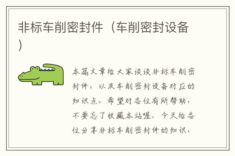 非标车削密封件（车削密封设备）