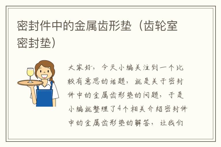 密封件中的金属齿形垫(齿轮室密封垫)