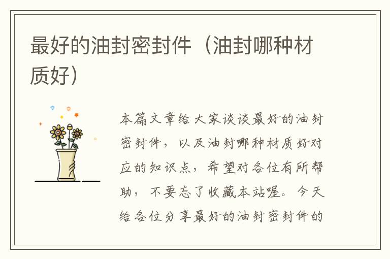 最好的油封密封件（油封哪种材质好）