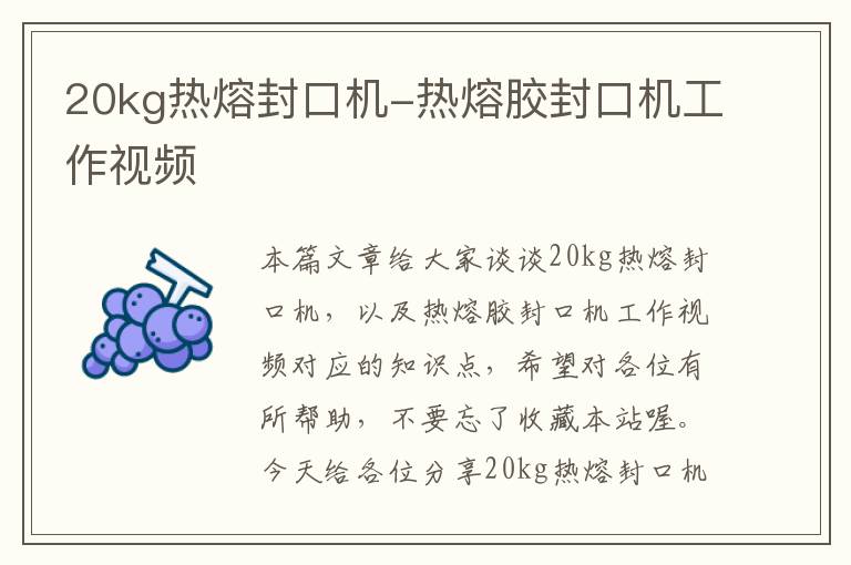 20kg热熔封口机-热熔胶封口机工作视频