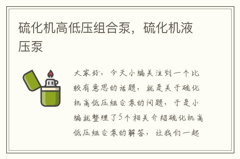 硫化机高低压组合泵,硫化机液压泵