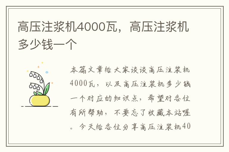 高压注浆机4000瓦，高压注浆机多少钱一个