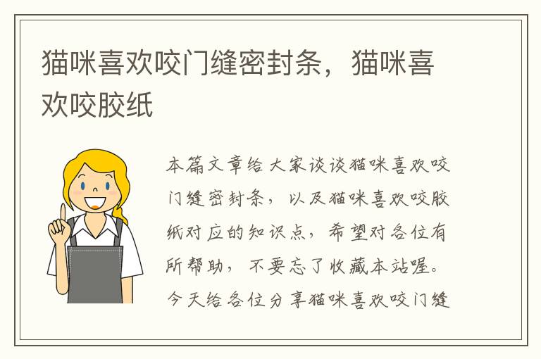 猫咪喜欢咬门缝密封条，猫咪喜欢咬胶纸