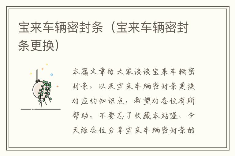 宝来车辆密封条(宝来车辆密封条更换)