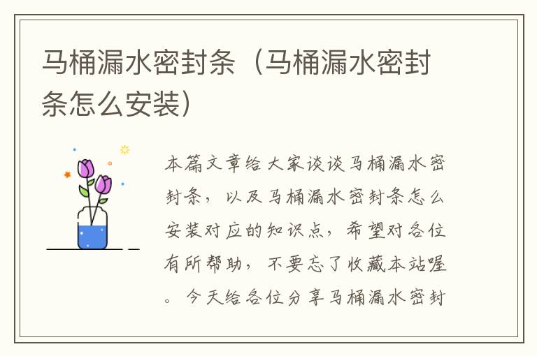 马桶漏水密封条(马桶漏水密封条怎么安装)