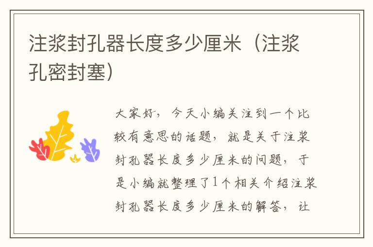注浆封孔器长度多少厘米(注浆孔密封塞)