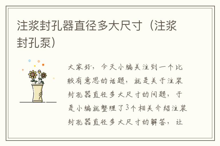注浆封孔器直径多大尺寸(注浆封孔泵)