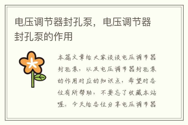 电压调节器封孔泵,电压调节器封孔泵的作用