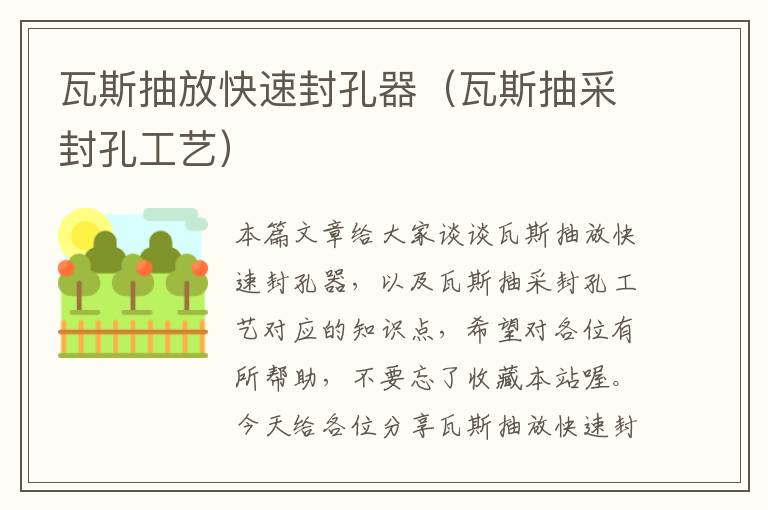 瓦斯抽放快速封孔器（瓦斯抽采封孔工艺）