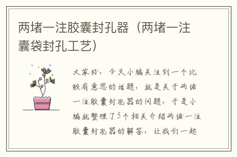 两堵一注胶囊封孔器(两堵一注囊袋封孔工艺)