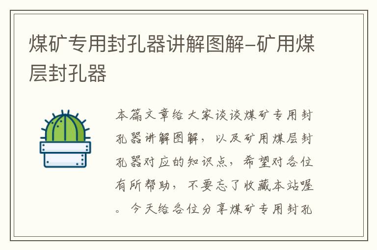 煤矿专用封孔器讲解图解-矿用煤层封孔器